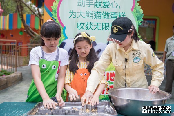 小朋友亲手体验给熊猫做定制版蛋糕。 小朋友亲手体验给熊猫做定制版蛋糕。