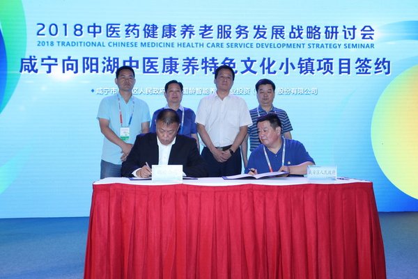 咸阳向阳湖中医康养特色文化小镇项目签约现场