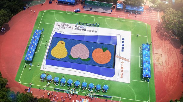 新诞生的世界最大足球拼图 新诞生的世界最大足球拼图