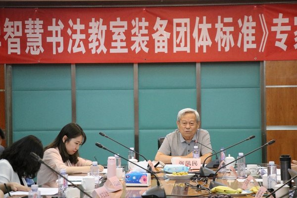 中国教育学会书法专业委员会学术部主任张凤民做会议小结 中国教育学会书法专业委员会学术部主任张凤民做会议小结