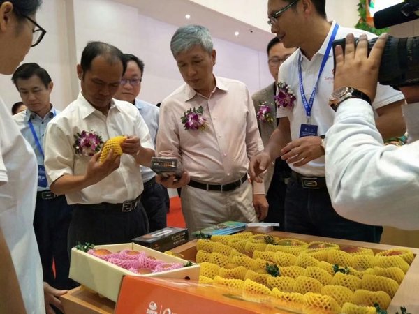 参会嘉宾代表们巡馆中