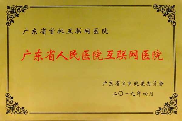 广东省首批互联网医院  广东省人民医院互联网医院