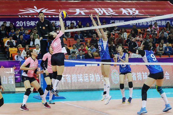 无限极2019年女排精英赛