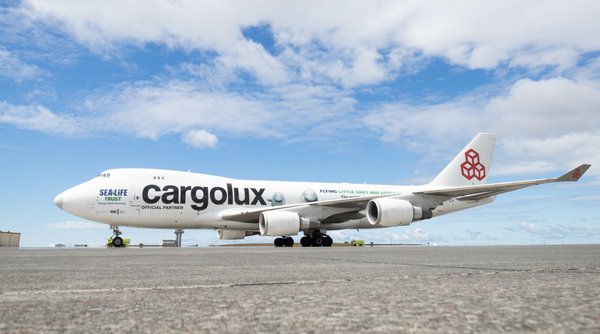 小白小灰搭乘卢森堡货运航空顺利抵达冰岛凯夫拉维克国际机场