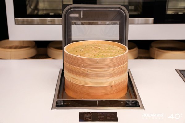 老板下嵌式蒸箱SZ01