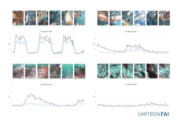 FAI combines several algorithms into a single index, as a result it can be used under a range of environmental conditions and for a variety of camera mounting positions including both underwater and above water.