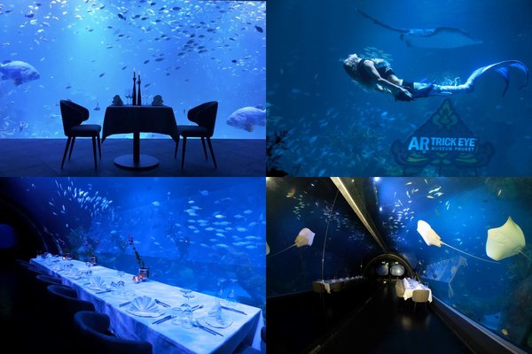 安达斯水下餐厅位于普吉岛尚泰购物中心的普吉安琪水族馆内