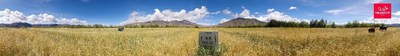 自然堂草场实景画面