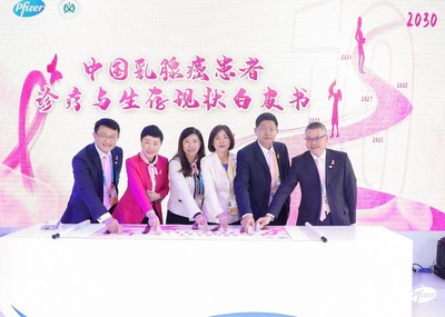 《中国乳腺癌患者诊疗与生存现状白皮书》项目启动仪式合影 （左起：辉瑞生物制药集团中国区副总裁、首席医学官曹峻洋博士；辉瑞生物制药集团中国区肿瘤及罕见病业务总经理李进晖女士；辉瑞生物制药集团中国区市场营销副总裁王怡亲女士；江苏省人民医院妇幼分院副院长殷咏梅教授；浙江省肿瘤医院乳腺内科主任王晓稼教授；辉瑞生物制药集团中国区肿瘤市场部负责人宋发贤先生）