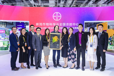 第三届进博会，拜耳作物科学回顾与全国农技推广中心在上海联合开展的&ldquo;拜耳更多水稻&rdquo;病虫草害全程解决技术示范成果