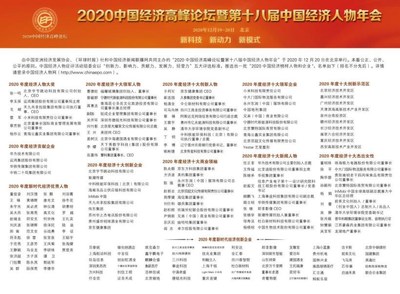 2020中国经济年度人物