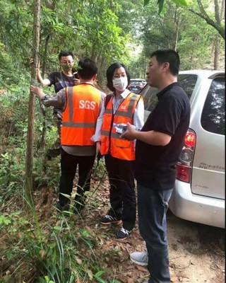 SGS森林认证及生态系统服务认证专家进行现场审核