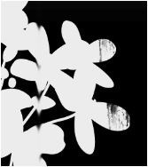 PrintSTAR可以检测到图案外的光油泼溅、未涂布区域或涂污的清漆