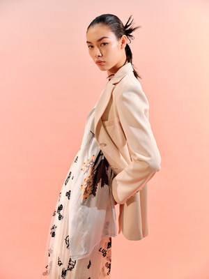 LILY商务时装齐白石大师系列