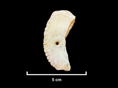 This mother-of-pearl pendant, found at a Neolithic-Chalcolithic burial site in the basalt volcanic uplands of AlUla in north-west Saudi Arabia, is leaf-shaped with a single pierced hole and incised decoration. As yet, no direct parallels of that era have been identified for the pendant in north-west Arabia.