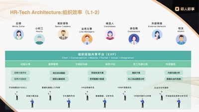 人力资源组织效率