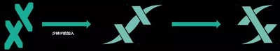 XDNA图标创意过程