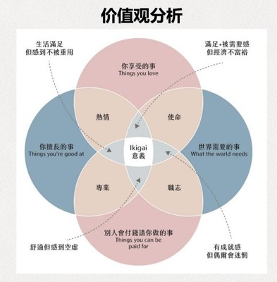港大ICB客席讲师吴大有：请看这张图 -- 价值观分析。