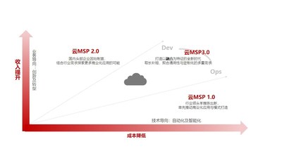 国内云MSP服务的发展演进示意图